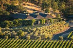 Winery Overview